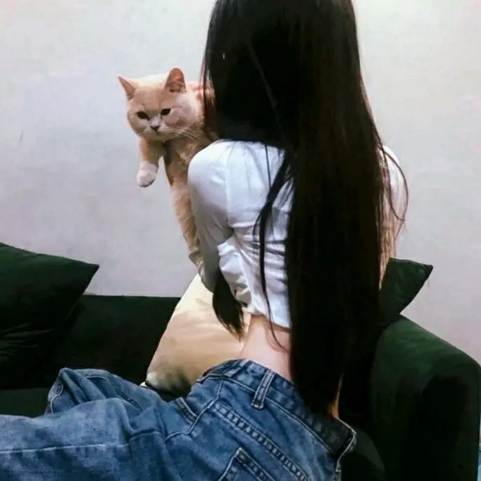 不了情